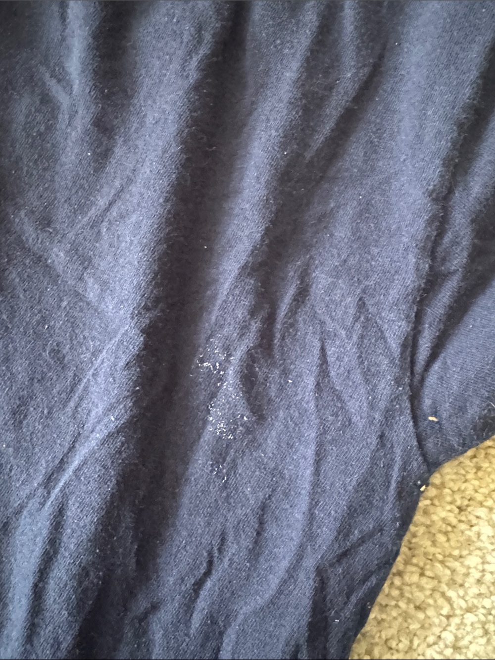 Size M Navy Blue Wolf Graphic Tee - Picture 7 of 7